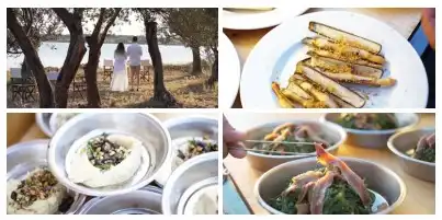 dunyanin en ozgur lokantasi trata ayvalik