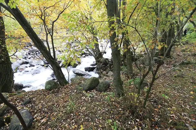 kirmizi benekli alabaligin izinde erzurum 1