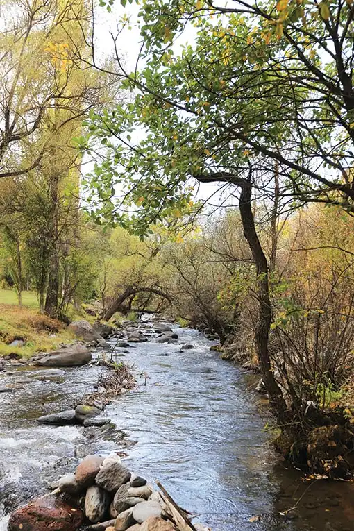 kirmizi benekli alabaligin izinde erzurum 3