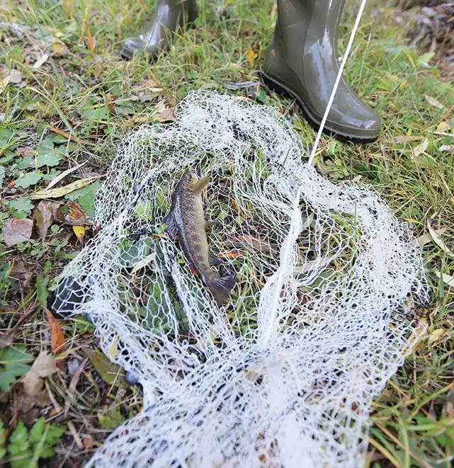 kirmizi benekli alabaligin izinde erzurum 4