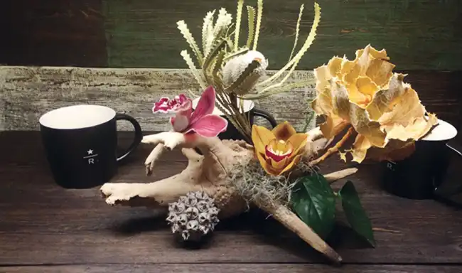 ozgur ve daginik ciceklerin adresi mitza 2